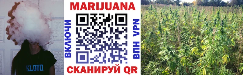 Шишки марихуана гибрид МЕГА как зайти Дивногорск